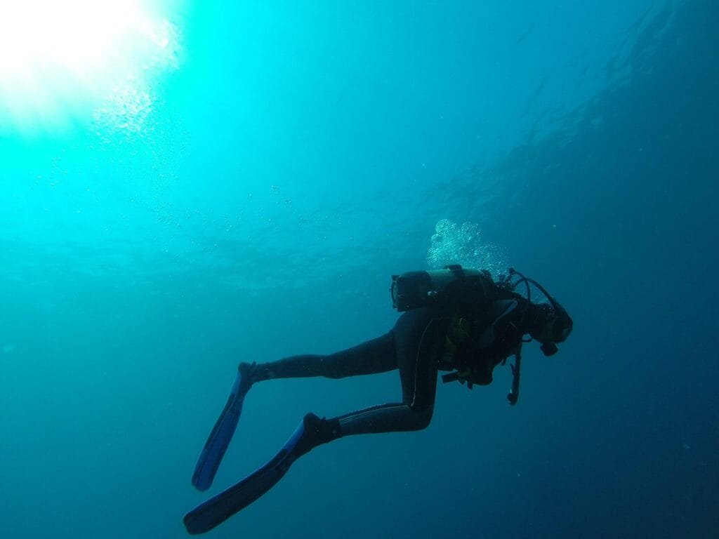 Mallorca | Dovolená v Bahia Principe Sunlight Coral Playa 4 diver, sea, bubbles, scuba diving, blue, marin, bottles, diving, submarine, nature, water