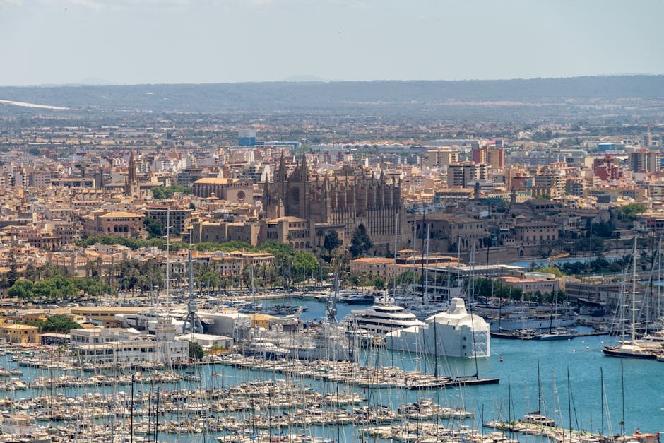 Mallorca | Dovolená v Bahia Principe Sunlight Coral Playa 1 Explore the picturesque skyline of Palma de Mallorca featuring La Seu Cathedral and the bustling marina.