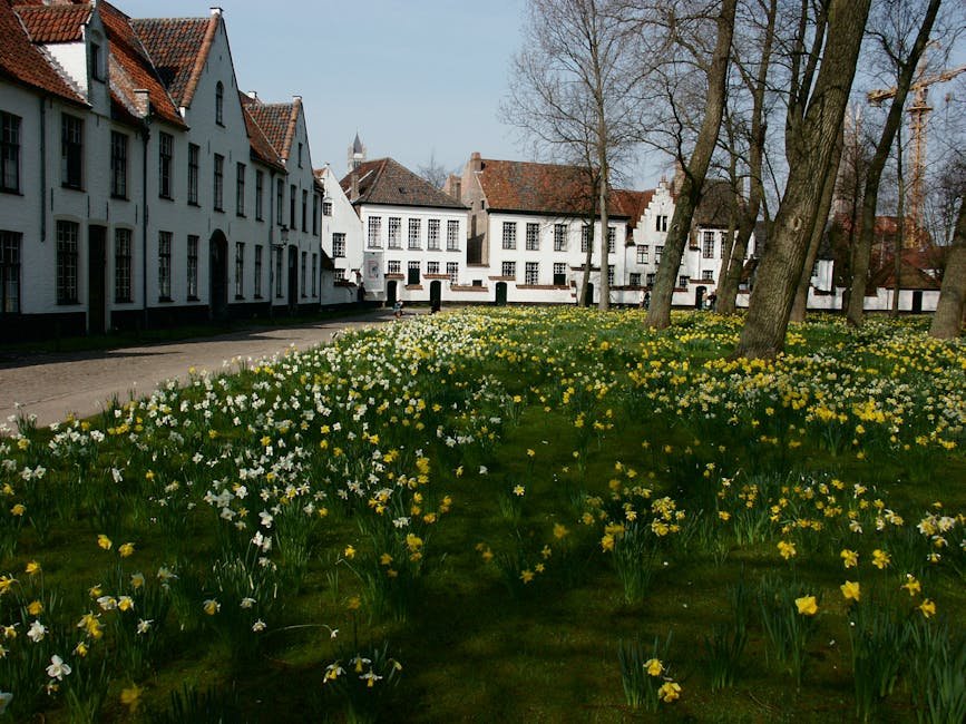 Amsterdam | Průvodce městem plným kanálů, kultury a zábavy 2 Charming spring scene with blooming daffodils and historic white buildings in Brugge, Belgium.