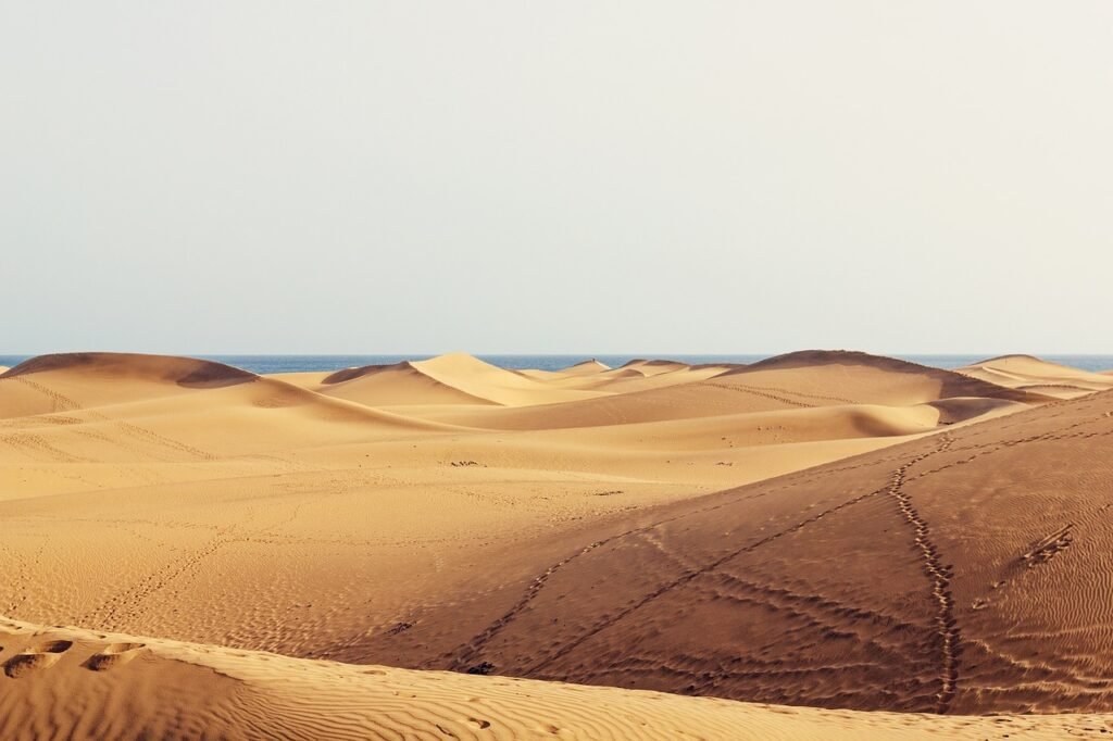 dunes, wilderness, travel, gran canaria, sand, canary islands, excursion, maspalomas, desert, nature, sand dunes