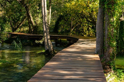 A serene wooden walkway surrounded by verdant trees and clear waters in Krka National Park.