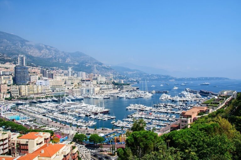 monaco, port, principality of monaco, yachts, boats, houses, skyscrapers, pushed, nature, water, cityscape, marina