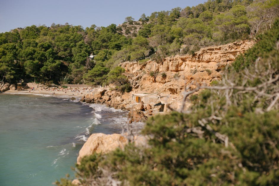 Tranquil Ibiza beach with rocky cliffs and lush greenery under sunny skies.