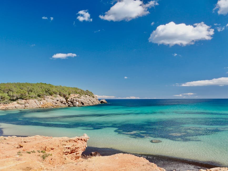 Pristine beach and clear turquoise waters under a bright blue sky in Ibiza, Spain.