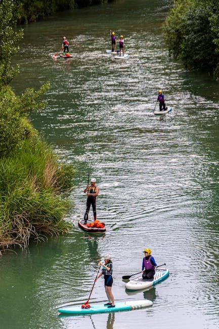 A group of people enjoying a paddleboarding adventure on a scenic, wooded river.