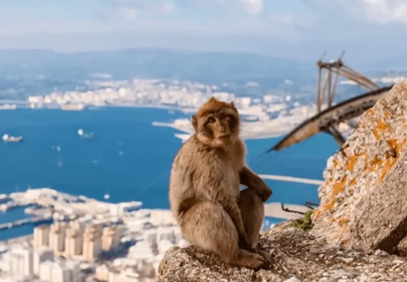 GIBRALTAR 1