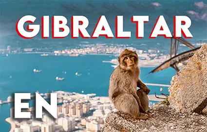 GIBRALTAR MONKEY EN
