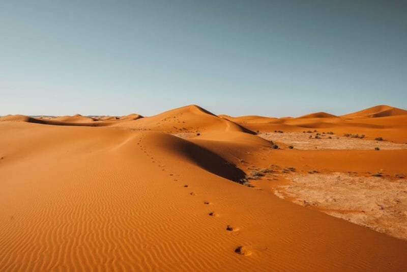 Sahara