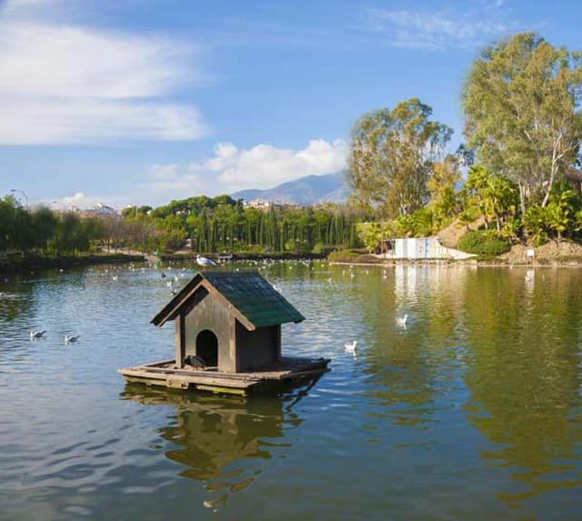 Lago en el Parque de la Paloma Benalmádena con aves salvajes Lago en el Parque de la Paloma Benalmádena con aves salvajes
