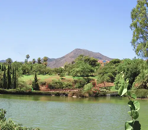 parque de la paloma, benalmadena, foto del lago con animales y un camino para peatonales y puente parque de la paloma, benalmadena, foto del lago con animales y un camino para peatonales y puente
